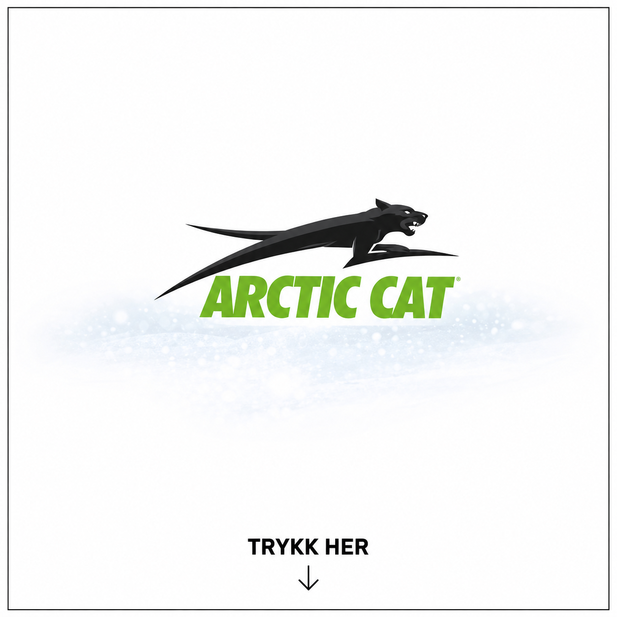 Arctic Cat