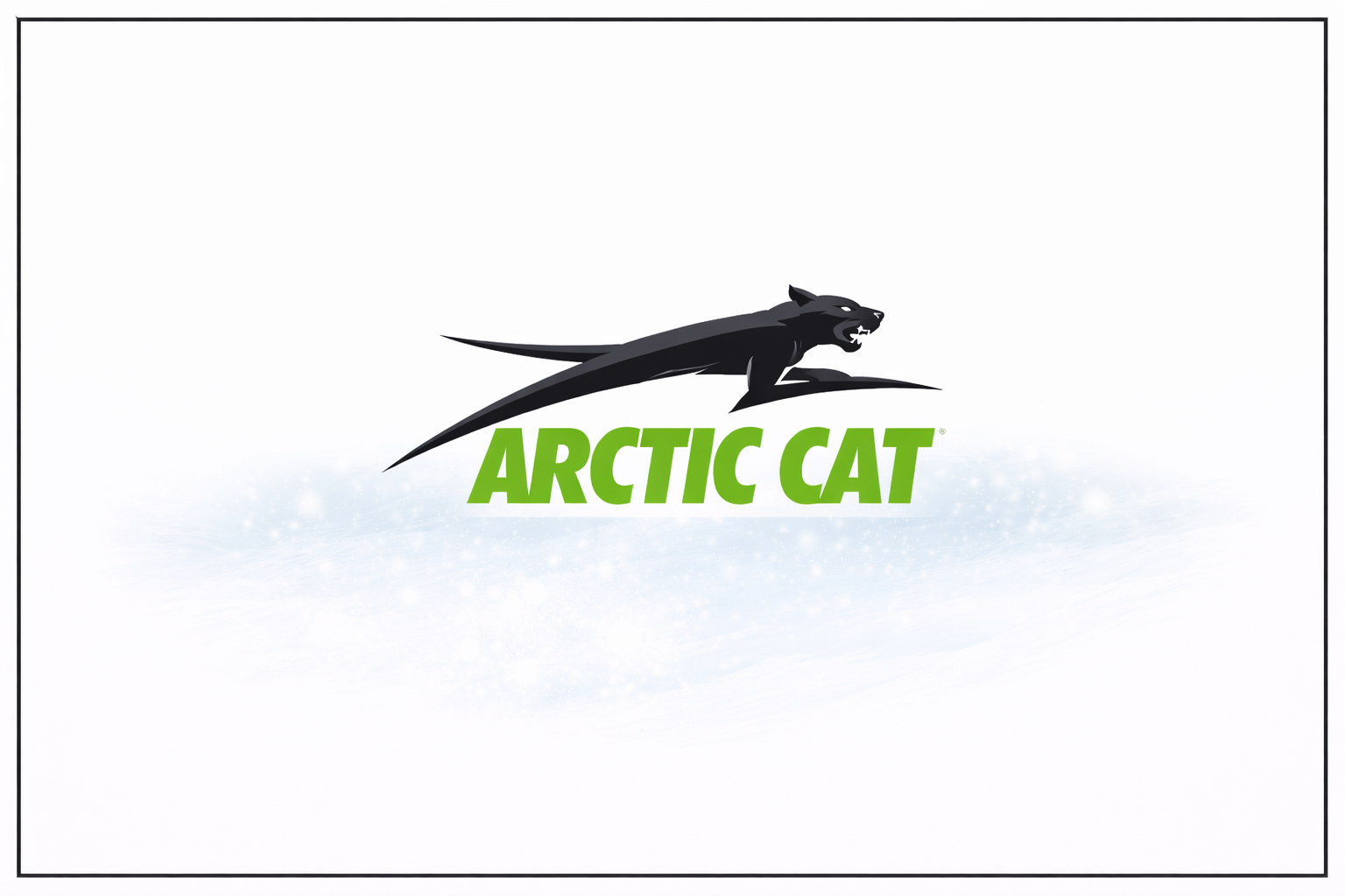 Arctic Cat